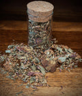 red clover botanical