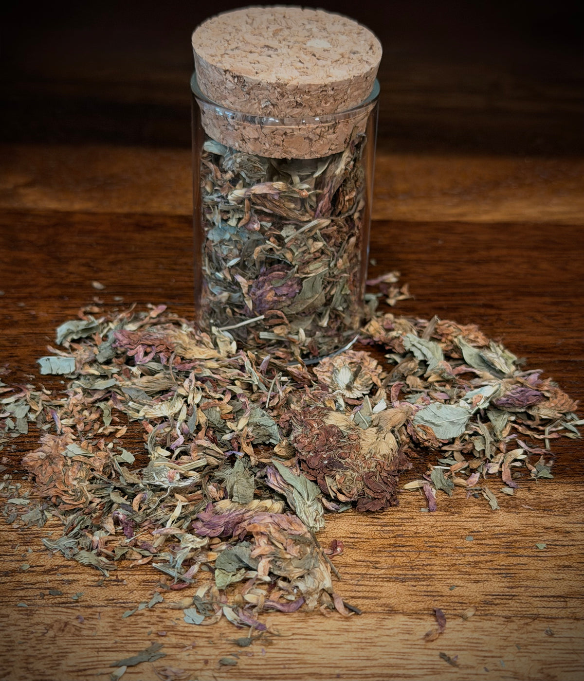 red clover botanical