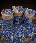 blue cornflower botanical